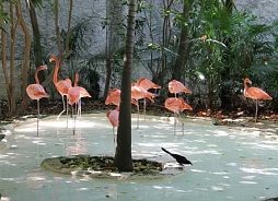 Парк Xcaret